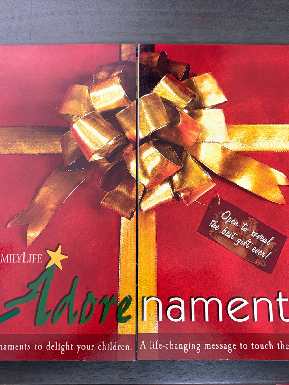 Adore Red & Gold Ornament Set